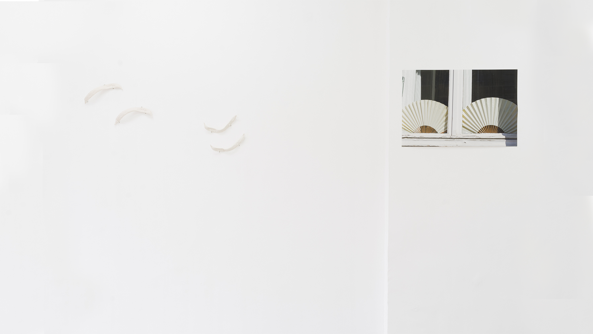 Wall sculptures and photography hanged on a white wall