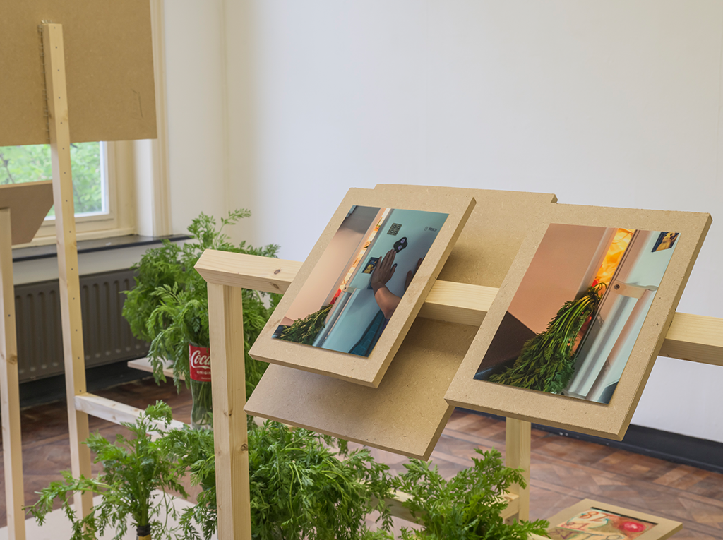 A wooden structure in the middle of a room. On top the structure there are some plants and images.