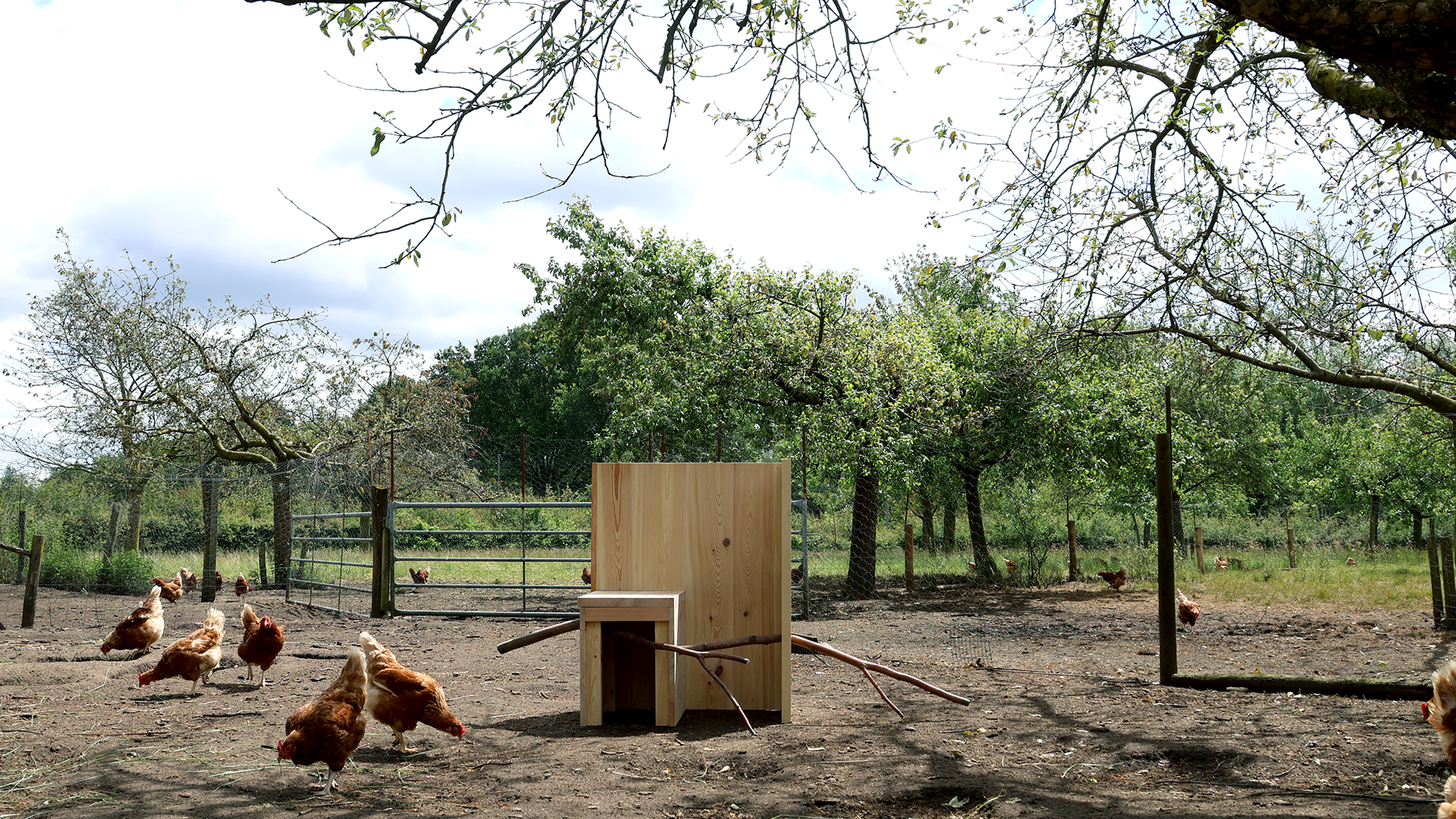 wooden art piece standing in a farm