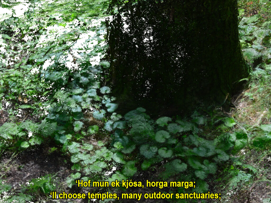 A film featuring a forest-like environment, presented with subtitles