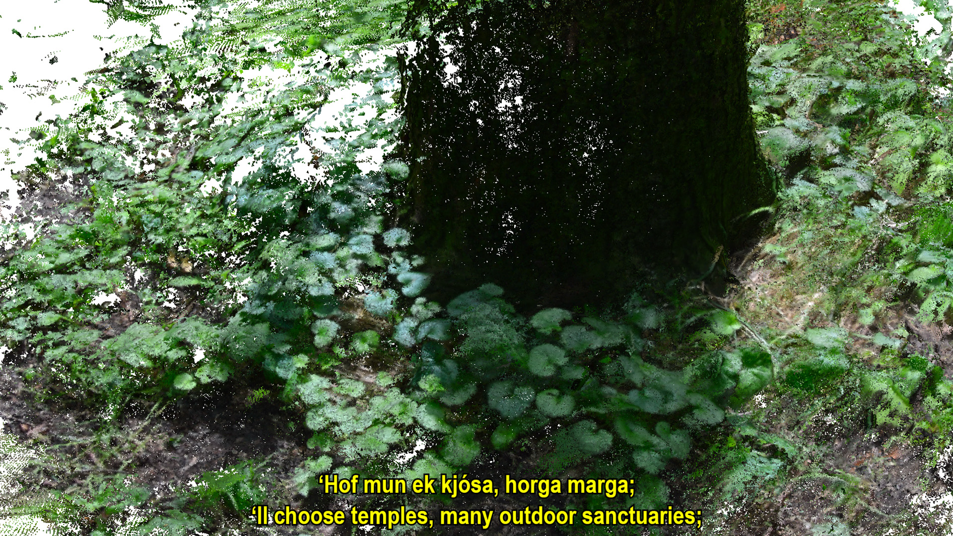 A film featuring a forest-like environment, presented with subtitles