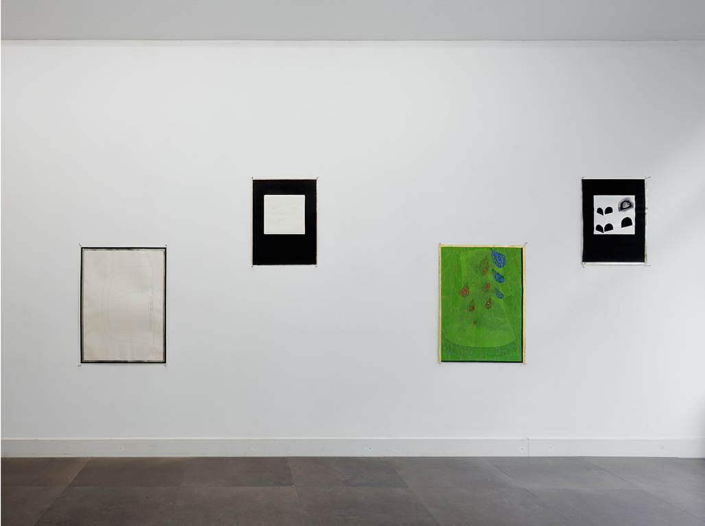 A serie of painting hanging on a white wall.