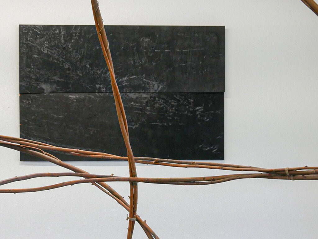 A detailed image of tied branches with a black and gray painting in the background.