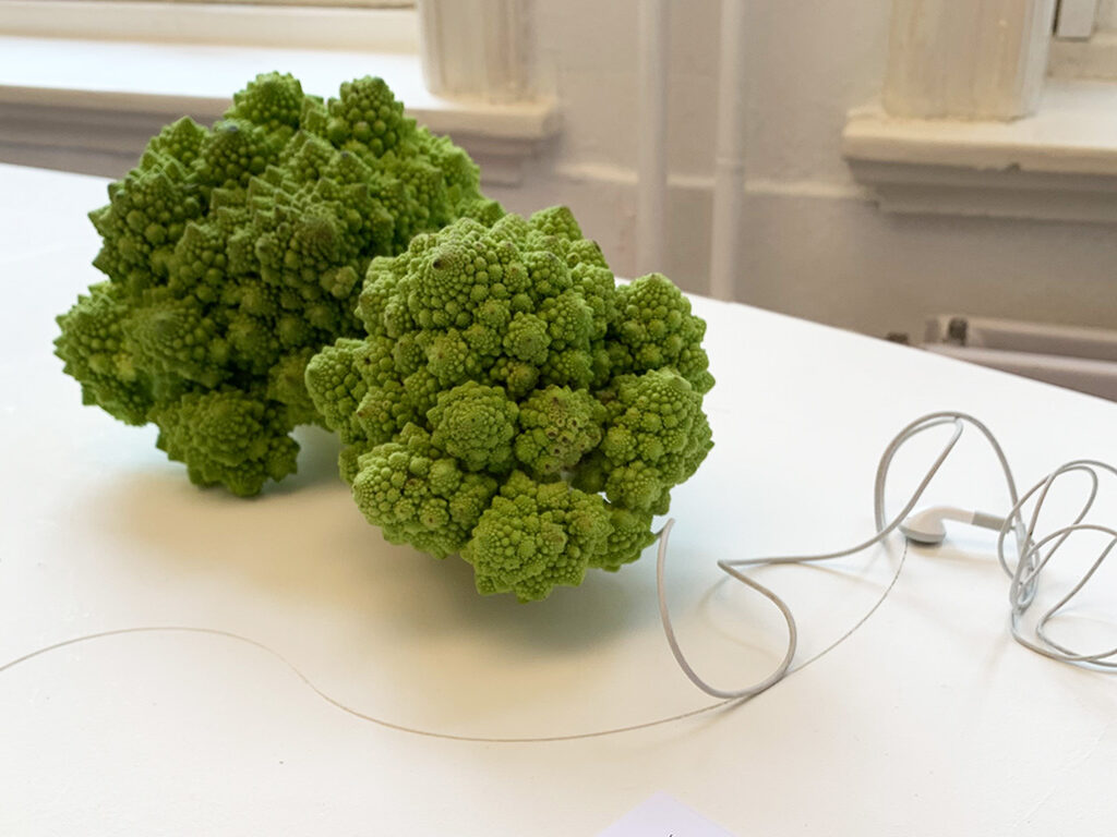 Two Romanesco broccoli heads linked by a pair of wired headphones.