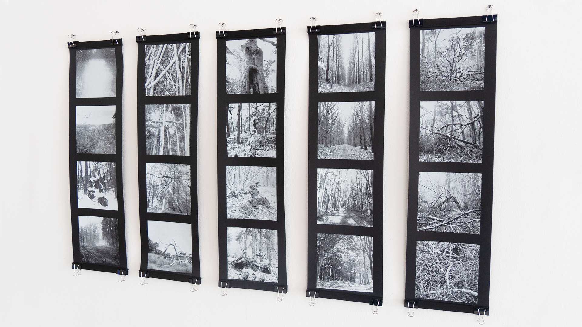 Image of five black vertical strips with four black and white photos of forest, trees and branches on each of them.