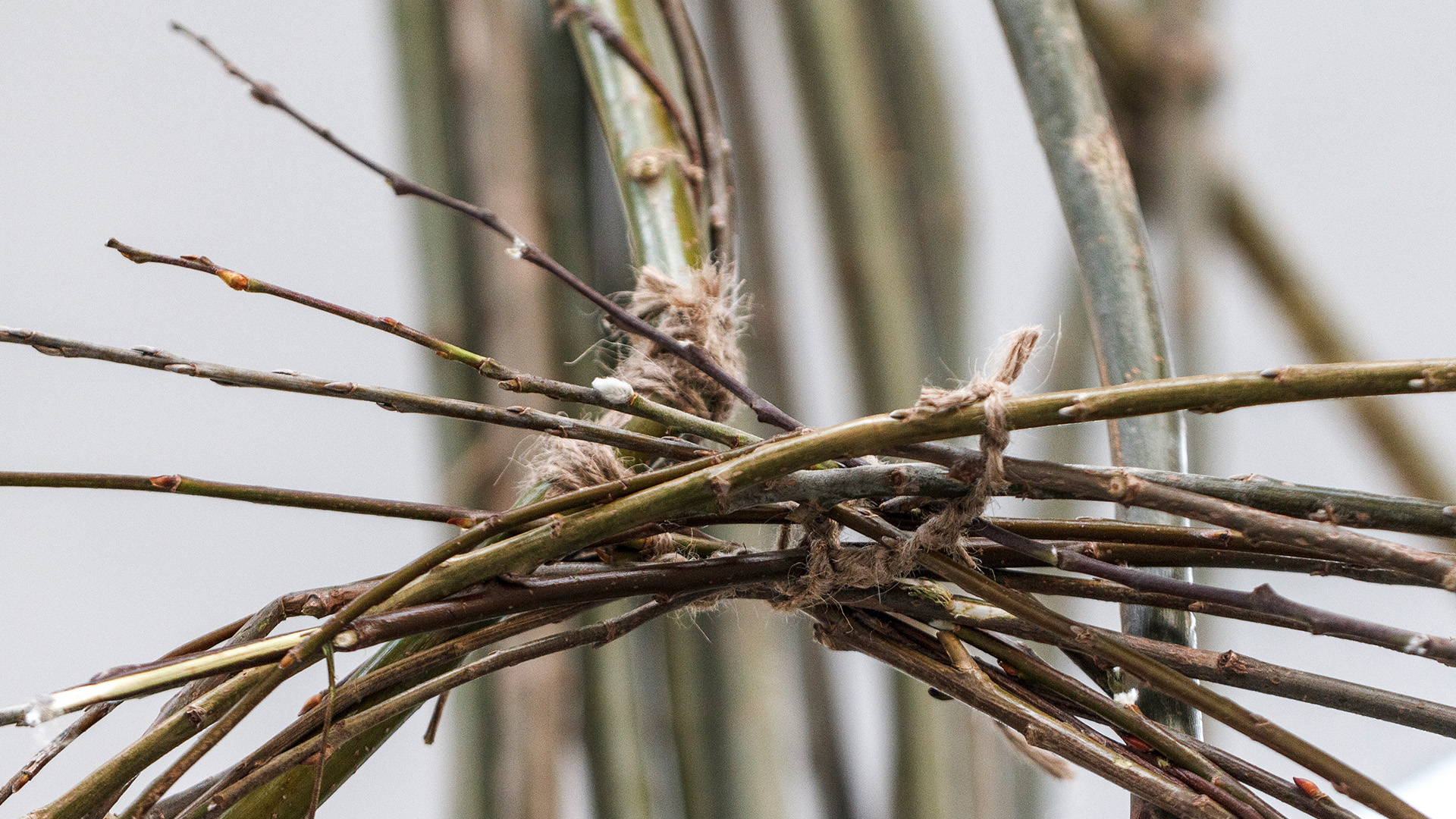 Detailed image of tied branches that make a part of the artwork.