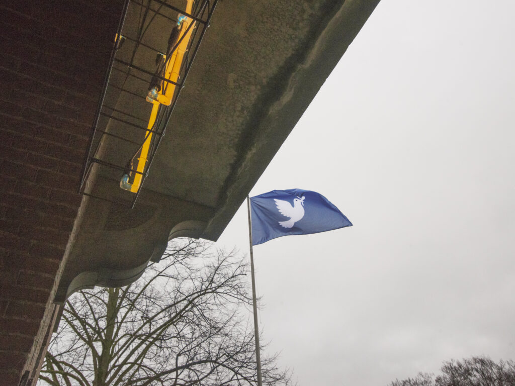 A blue flag flying high on a flagpole against the sky. The flag shows a bird graphic associated with “Angry Peace,” centered on the fabric. The flag is fully extended by the wind, with the design clearly visible as it moves in the air.